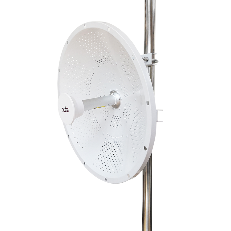 4900-6400 MHz 30 dBi MIMO Dish Antenna